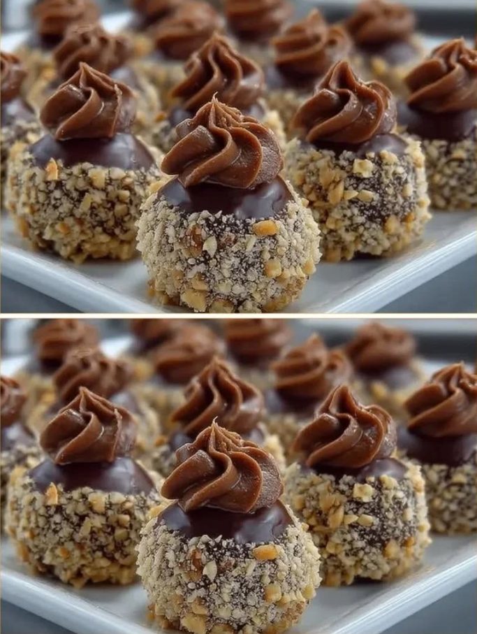 Gnijezda od lješnjaka