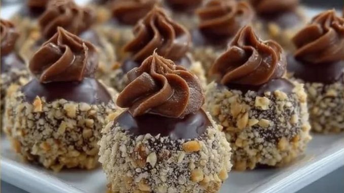 gnijezda od lješnjaka